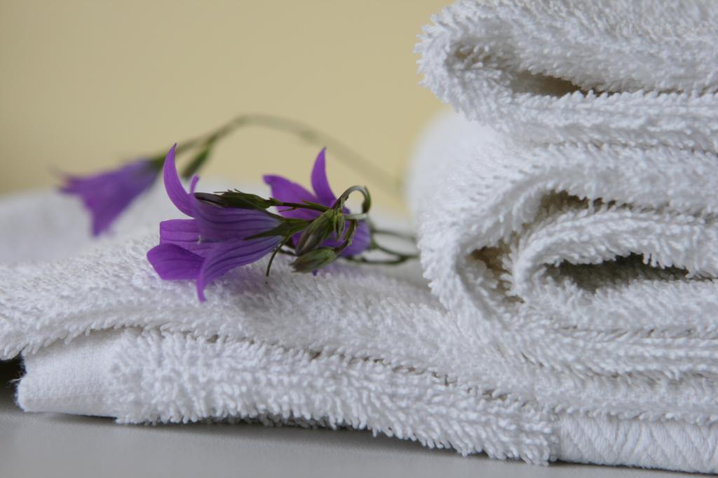 Hotel Audenis Birštonas エクステリア 写真
